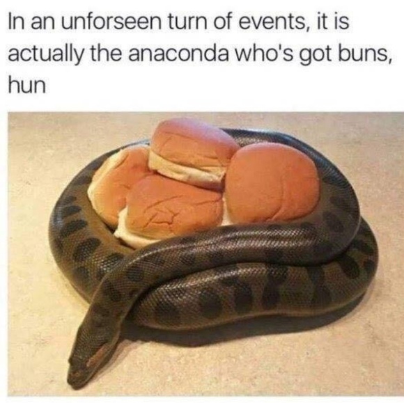 Meet your Posher, Gwen - Picture 8 of 8